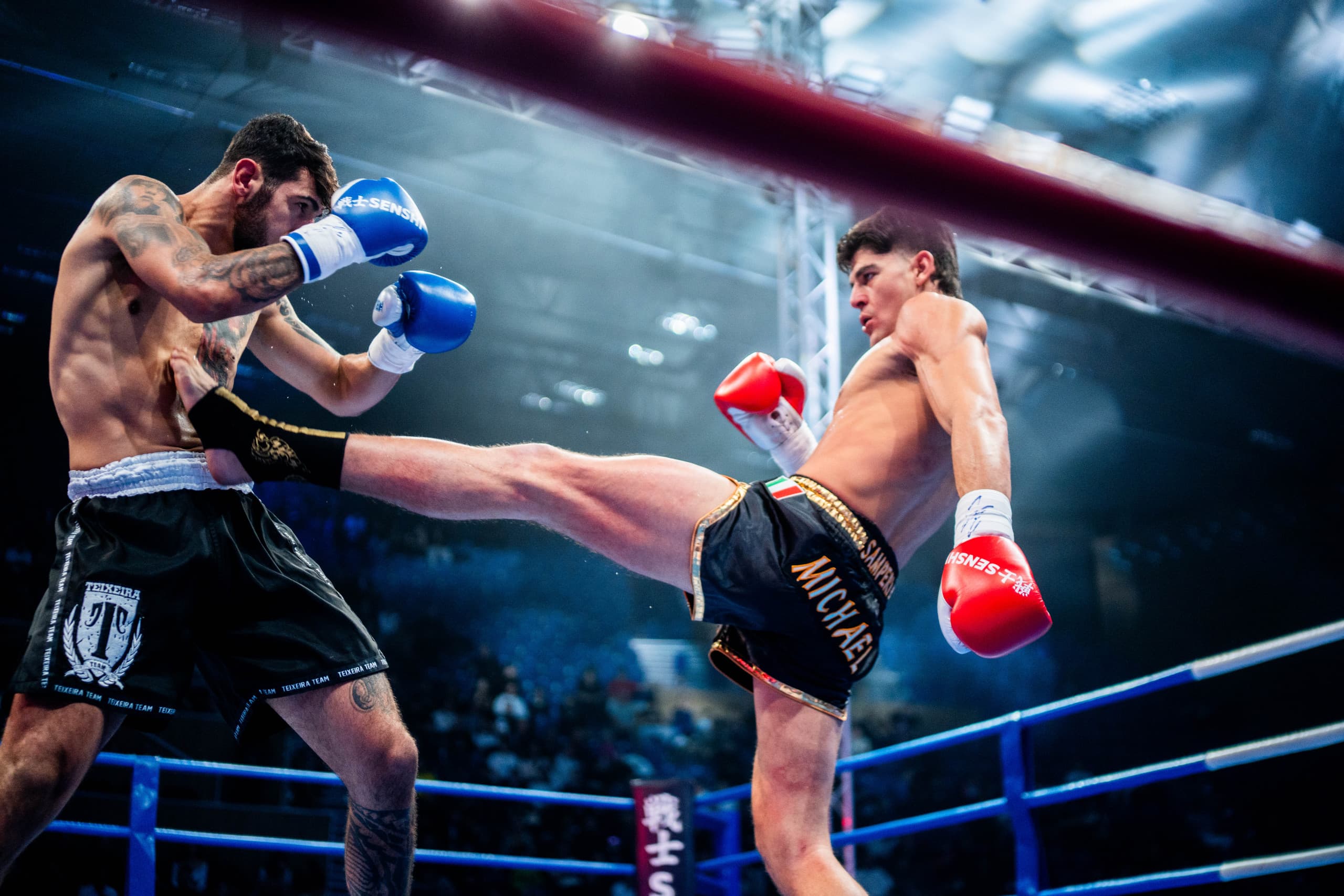 SENSHI 17 event poster