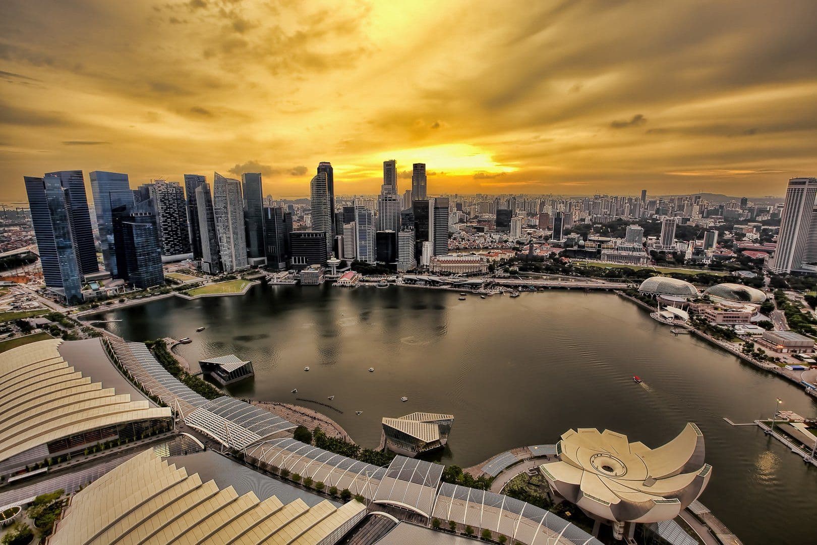 Total Domination event poster